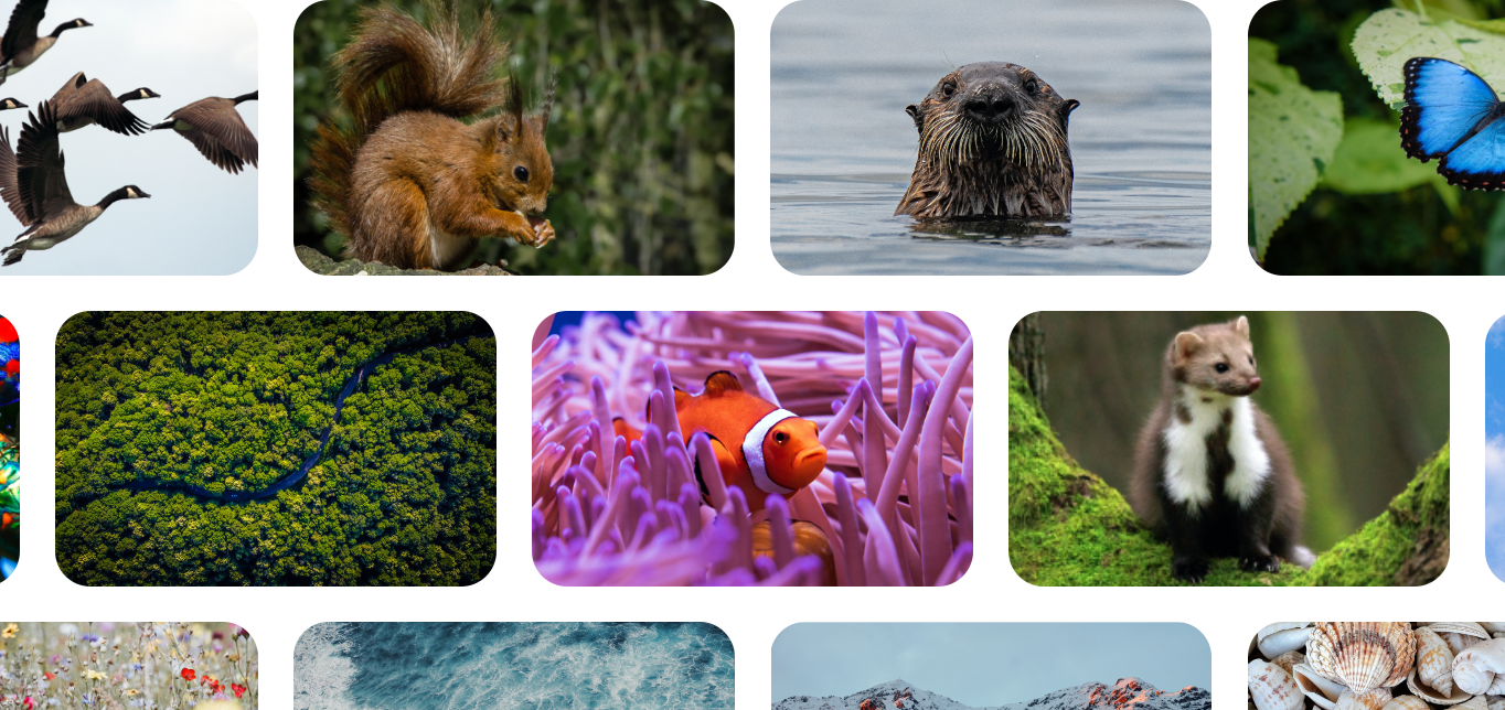 Ecosystem Tracker screenshot
